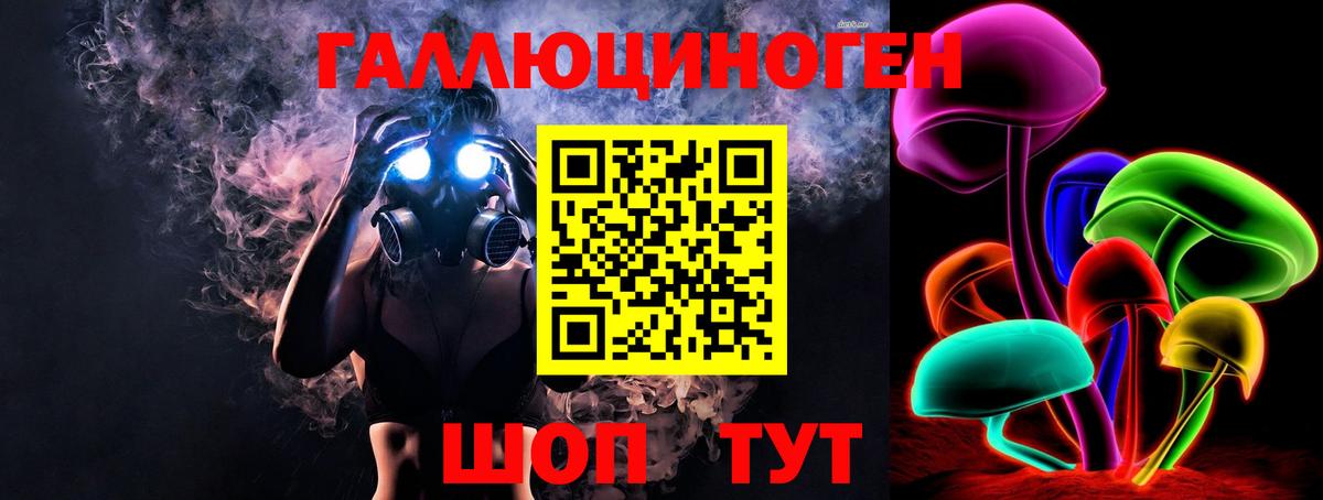 купить наркоту  Псилоцибиновые грибы Psilocybe  Вход с VPN  Кувандык 
